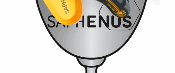 Sensory Feedback – the holy grail in prosthetics